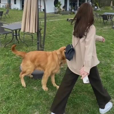 鬼龙院花子的一生